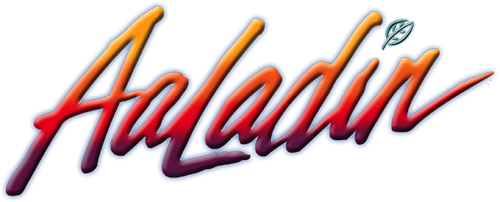 Aaladin Cleaning Systems